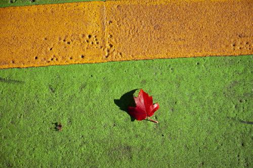 red leaf